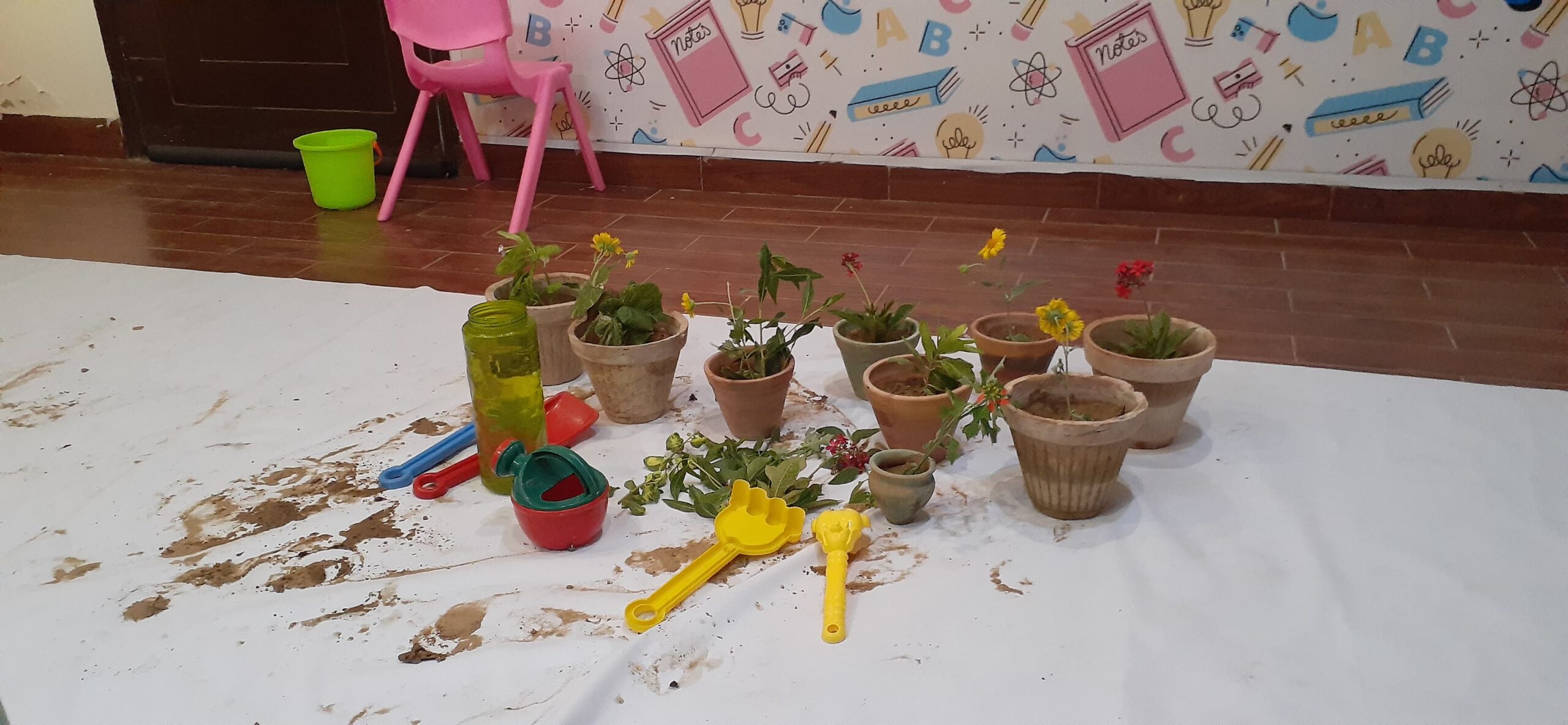 WhatsApp Image 2025-04-22 at 9.02.21 PM